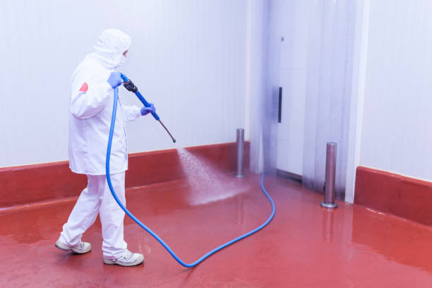 Best Graffiti Removal Services in Salamanca, NY
